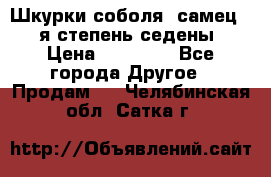 Шкурки соболя (самец) 1-я степень седены › Цена ­ 12 000 - Все города Другое » Продам   . Челябинская обл.,Сатка г.